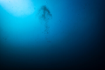 Fototapeta premium 呼吸