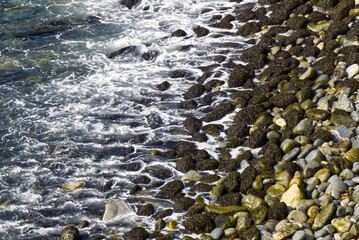 Central California - Garrapata State Park Rocky Shore & Froth