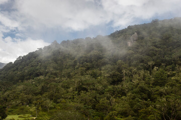 Fototapeta na wymiar Beautiful foggy forest mountain with an extrange monolith and blue cloudy sky 