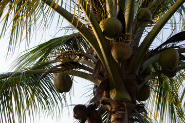 parque tayrona playas llenos de personas camino de calles llenos de gente mar calmo atardeceres...