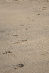 parque tayrona playas llenos de personas camino de calles llenos de gente mar calmo atardeceres cielos azules y trabajadores caminando colombia caribe colombiano, taganga santa marta mendihuaca 