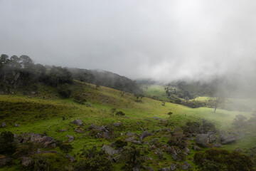 cloudy countryside landscape with andean forest and ancient monoliths
