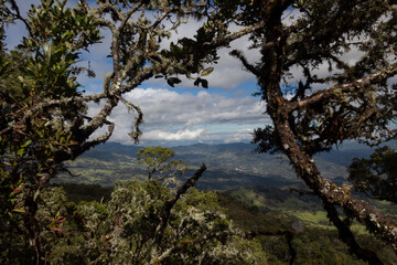 Stunning scene of colombian eastern mountains valley at midday in middle of an old branches framed
