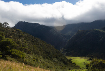 Obraz premium Andean rainy forest mountain range valley with green countryside and cloudy sky