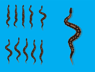 Animal Animation Sequence Royal Python Cartoon Vector