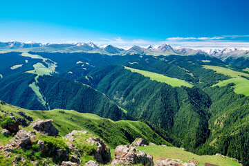 Naklejka premium The beautiful landscape of Kalajun grassland of Yili of Xinjiang, China.