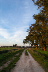 atardecer, buenos aires, provincia de buenos aires, molino de viento, molino paisaje, azul sol