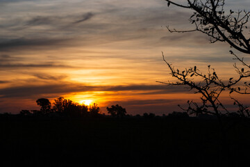 atardecer, buenos aires, provincia de buenos aires, molino de viento, molino paisaje, azul sol