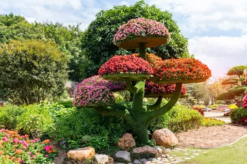 Afwasbaar fotobehang large bonsai flower tree in Park © xiaoliangge