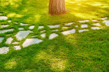 The Stone block walk path in the park with green grass background.