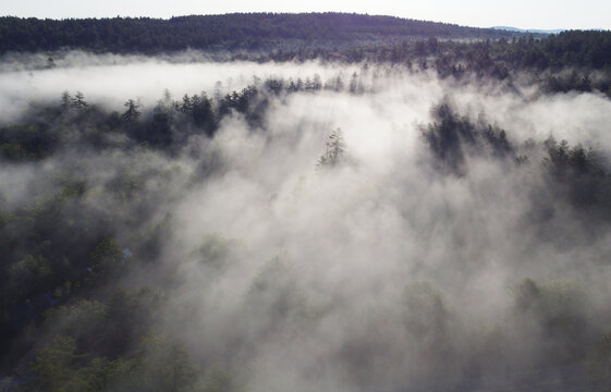 aerial view of fog in the forest © nd700