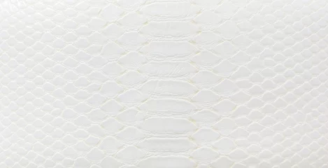 Foto op Plexiglas White crocodile leather skin texture background © merrymuuu