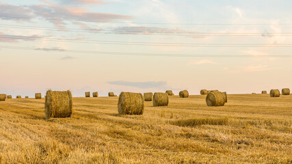Fototapeta na wymiar Straw logs in rural summer landscape in France