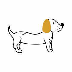 Cute dachshund drawn in style of hand drawn. Dog on white background.