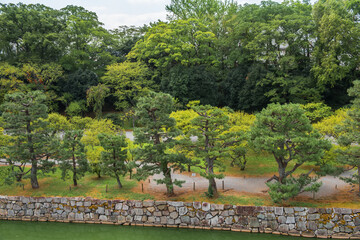 Pine and maple trees in Nijo Castle Ninomaru palace kyoto Japan.