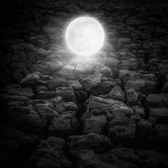 Fototapeta premium Moon's Earth Journey
