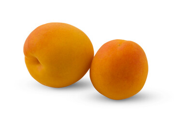 Two red and yellow apricots isolated on a white background.Use for posters, labels and web design
