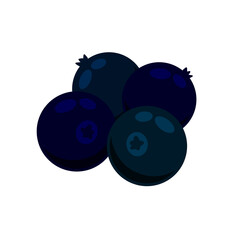 Blueberries. Black berry. Healthy food and sweet dessert ingredient.