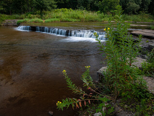 653-73 Prairie Creek Falls and Primrose