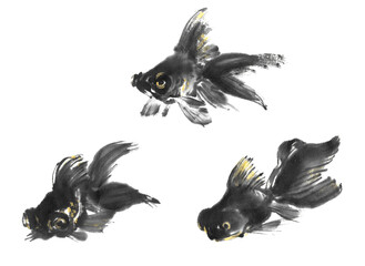 水墨画技法で描かれた黒い出目金