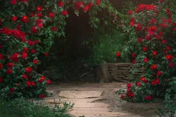 Deurstickers Beautiful garden with blooming rose bushes in summer © grape_vein