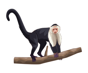 Cute and realistic monkey © Jemastock