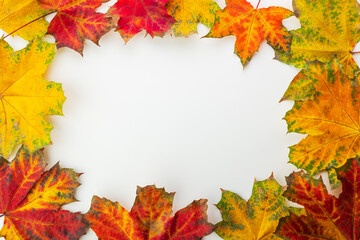 Naklejka na ściany i meble Autumn seasonal leaves with border frame and space for text, fall background