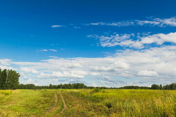 Summer countryside nature landscape. Blue sky white clouds green meadows rural road. Horizontal frame