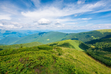 Obraz premium mountain landscape in summer. beautiful scenery on a sunny day. view in to the distant ridge under the blue sky with dynamic cloud formation