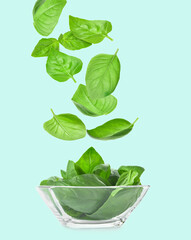 Bowl with flying basil leaves on color background - obrazy, fototapety, plakaty