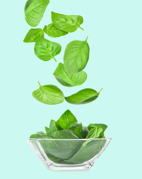 Bowl With Flying Basil Leaves On Color Background