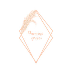 Dry Pampas grass geometric frame on a white background. Decor of invitations and postcards. Hand-drawn vector illustration
