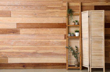 Ladder with houseplants and folding screen near wooden wall