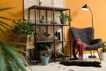 Stylish armchair and book shelf near color wall in room