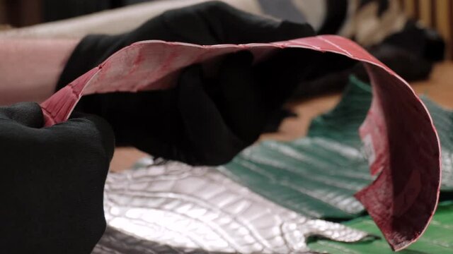 Exotic Leather. Animal Texture. Natural pattern. Fashion and clothing industry. Upholstery Furniture. Crocodile Skin.