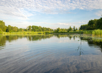 summer morning landscape on the lake, beautiful clouds and wonderful reflections in the lake mirror, summer morning by the water