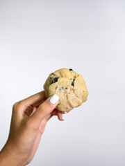 Cookies with clean backfround for comercial
