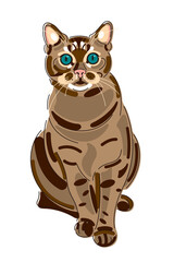 CAT, PET, BLOWN, 猫, ペット, 動物, 一緒に暮らす