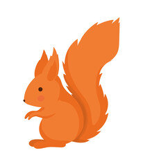 Fototapeta premium adorable chipmunk design