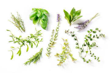 Herbes de Provence with lavender, traditional French aromatic herbs, shot from the top on a white background - obrazy, fototapety, plakaty