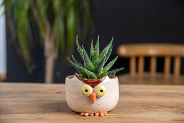 cactus in a owl figured pot on a table