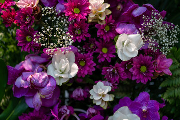 Bouquet of different kinds of purple flowers