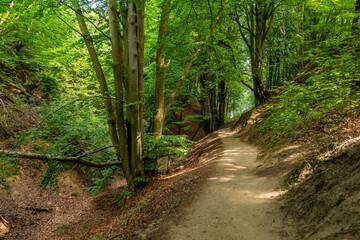 Fototapeta premium Gorge 