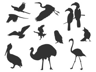 Set vector of the Birds, The shadow of different poses isolated on white background.
