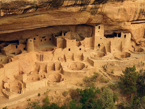 the ancient native american cliff dwelling of cliff palace in summer in mesa verde national park, near cortez, colorado