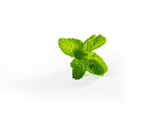 fresh mint leaves