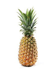 pineapple single fruit