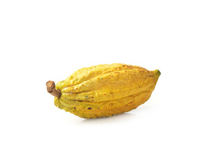 single cocoa fruit