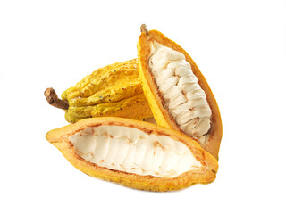 cocoa fruit s