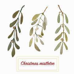 Watercolor illustration of a branch of mistletoe set. Hand-drawn with watercolors and suitable for all types of design and printing